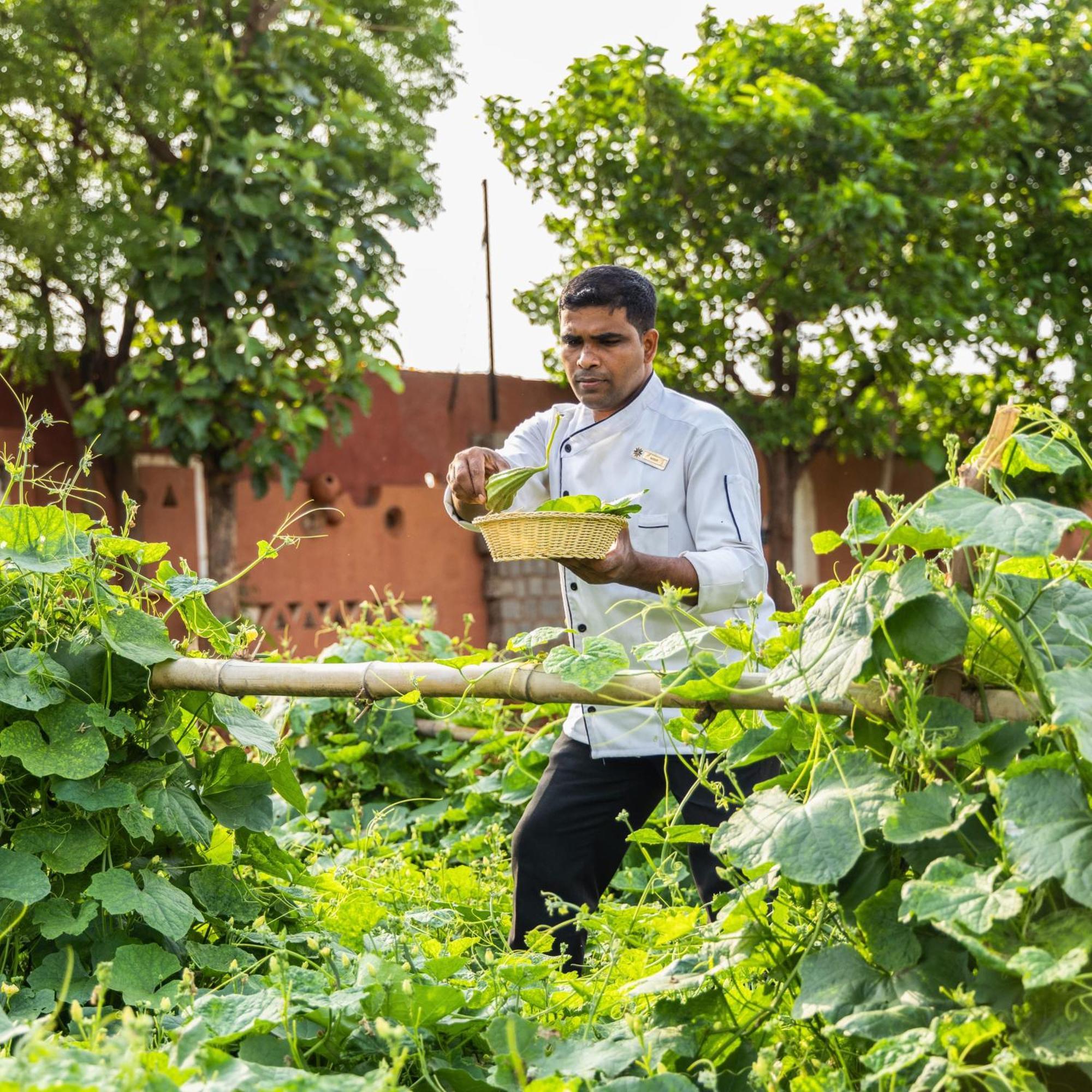 Vijayshree Resort, Hampi Eksteriør billede